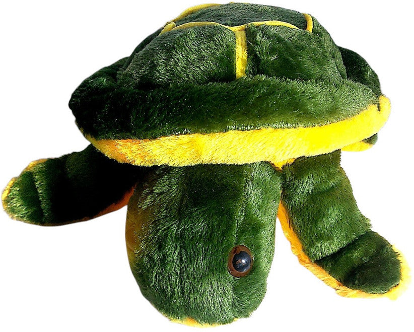 Soft Turtle