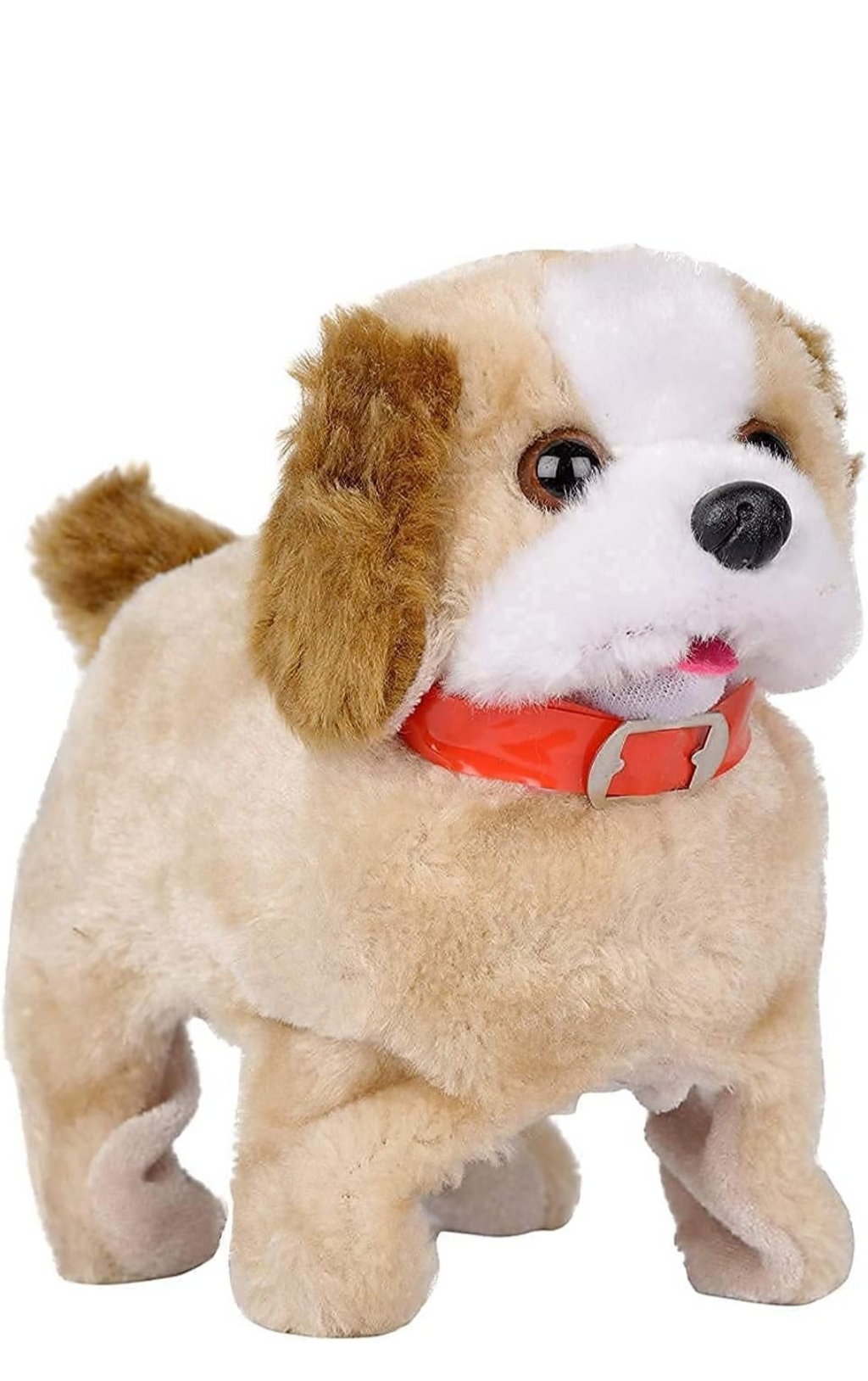 Funny Dog
