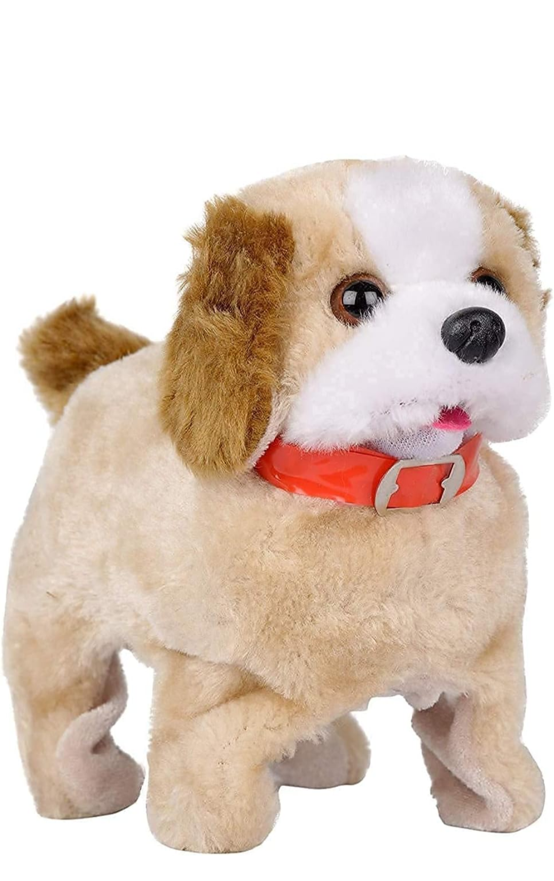 Funny Dog