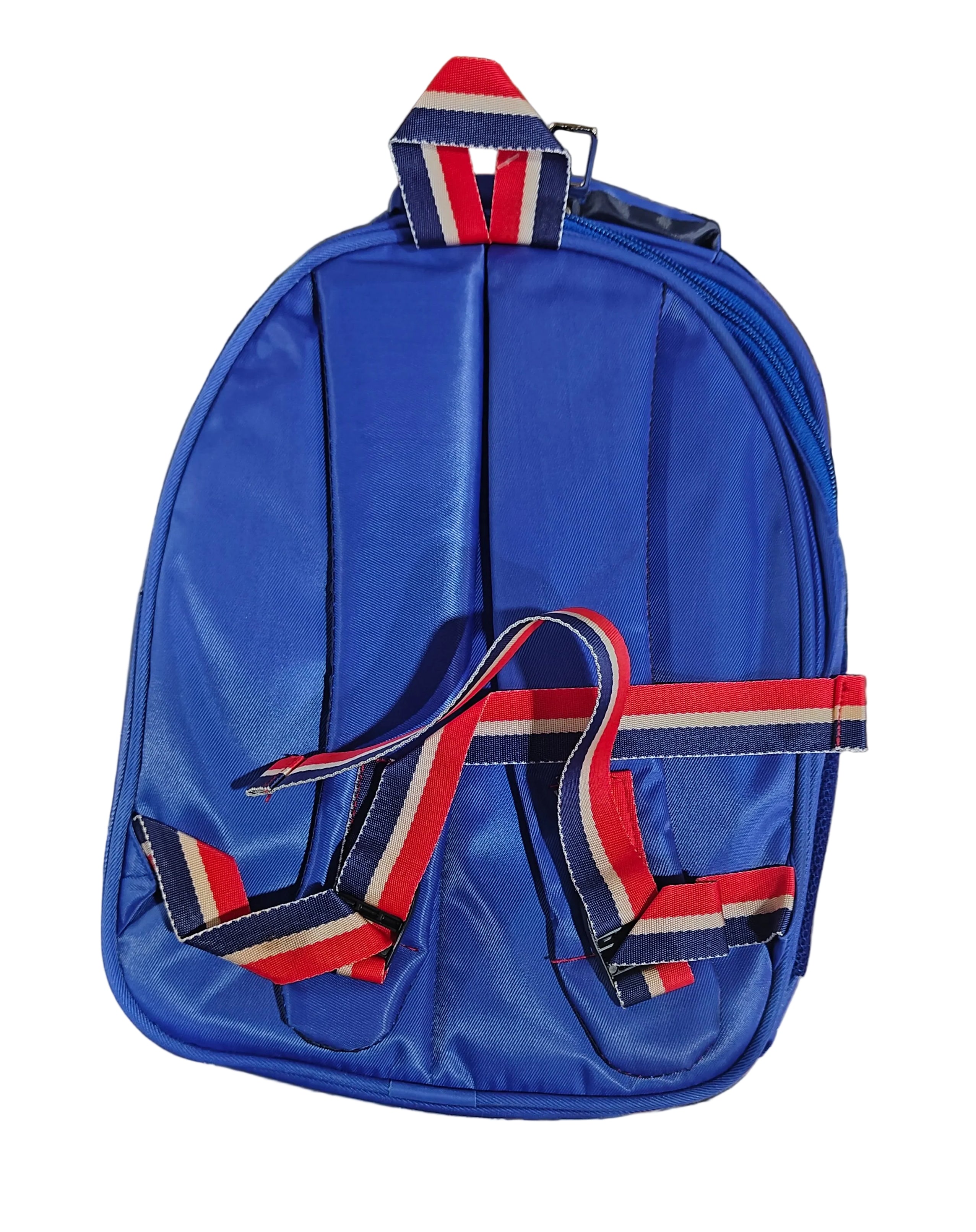 Dinosaur Bag