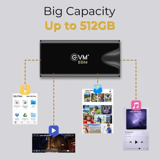 EVM Elite EnSave Pro 1TB