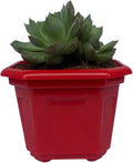 Plastic Pot