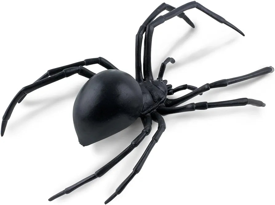 Safari Widow Spider(12 pcs)