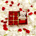 Teddy Rose