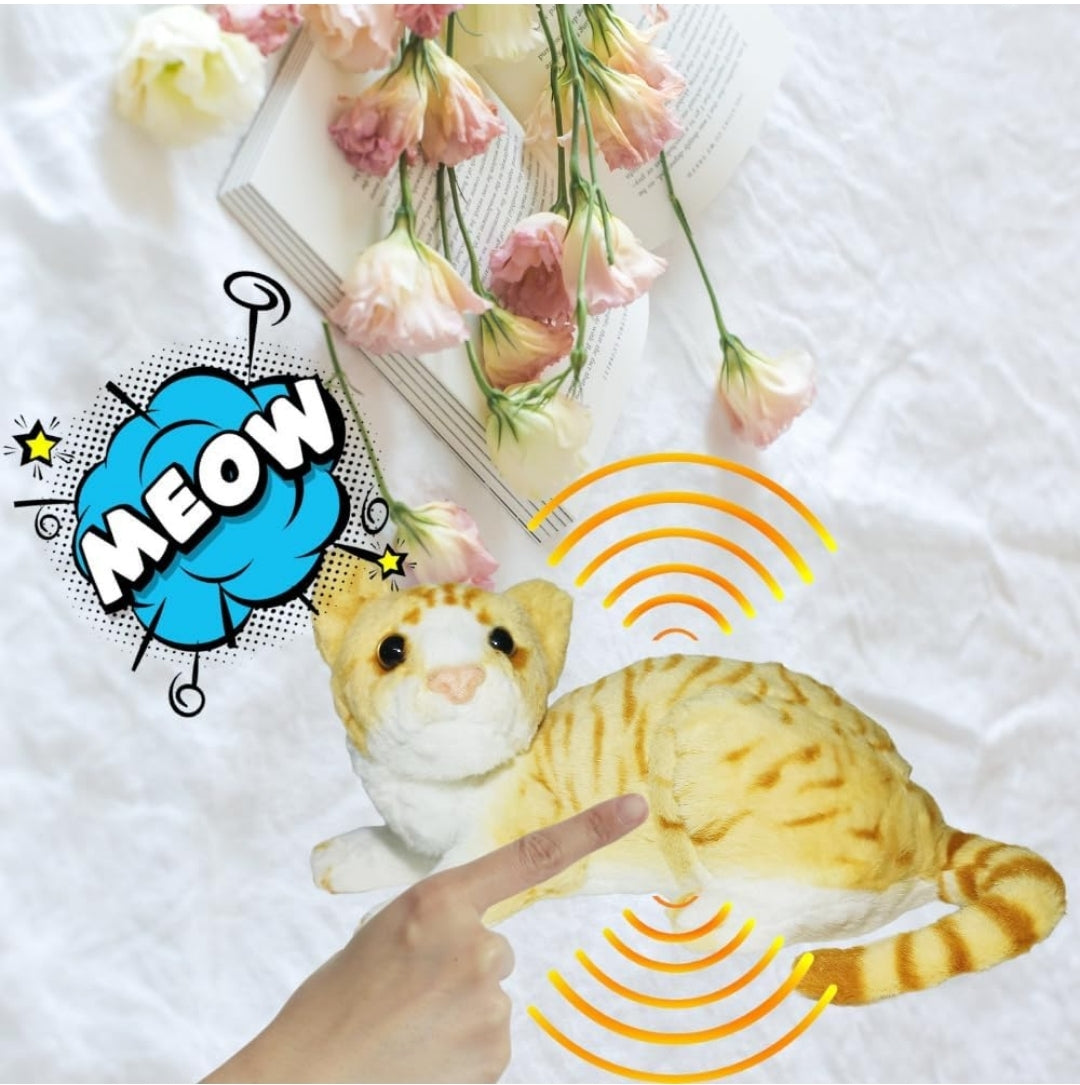 Sleeping cat toy