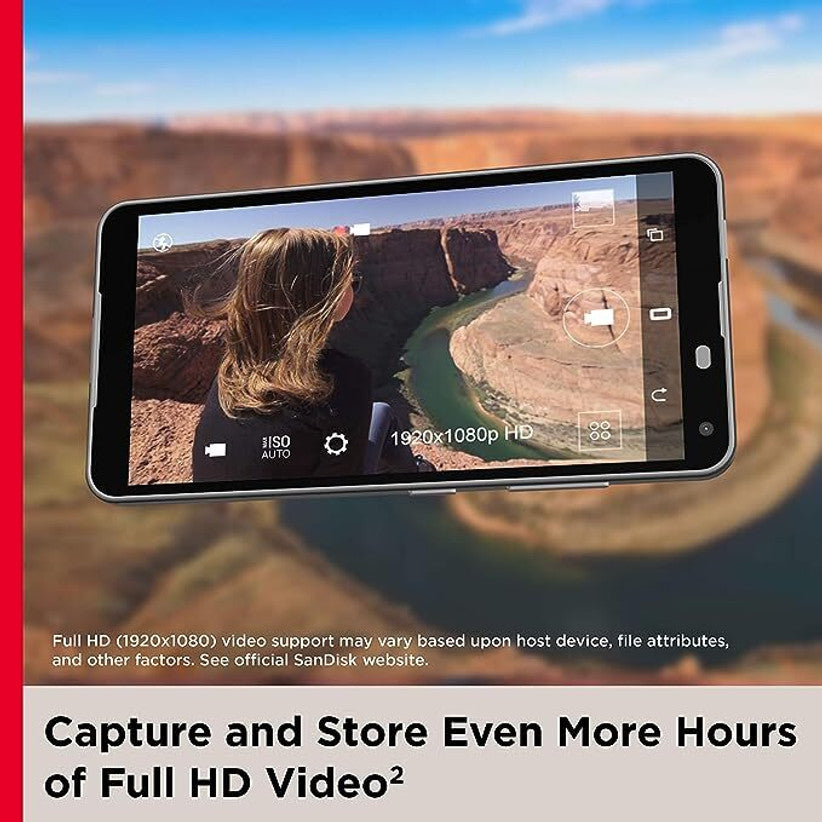 SanDisk 256GB