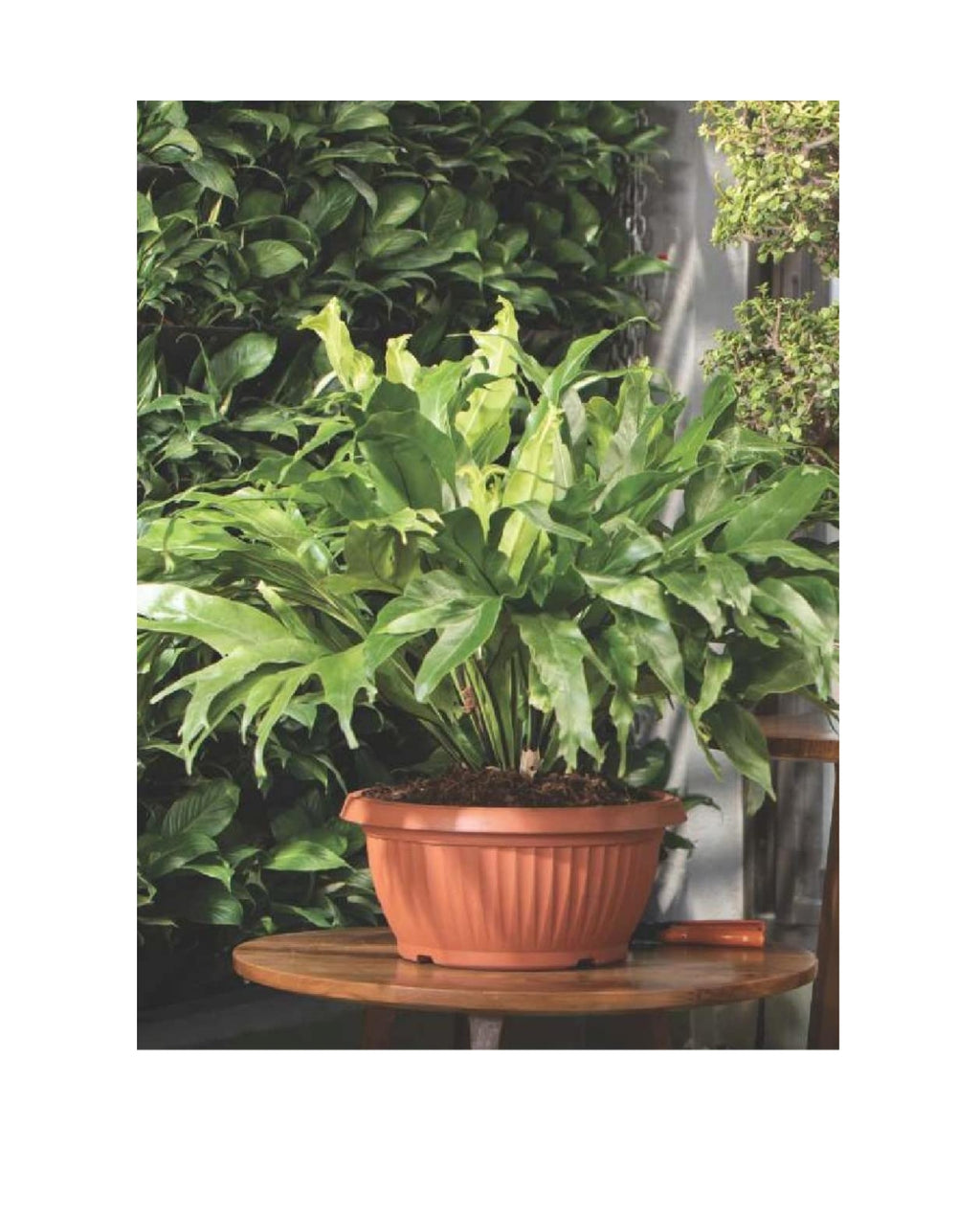 Plant Pot Plastic