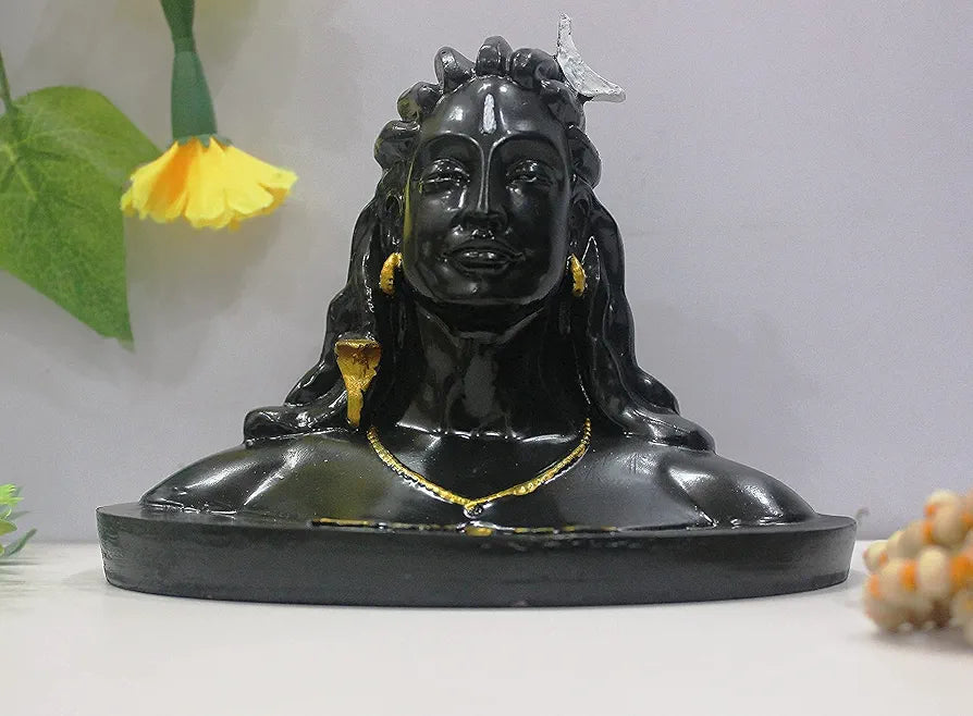 ADIYOGI Shiva Ido